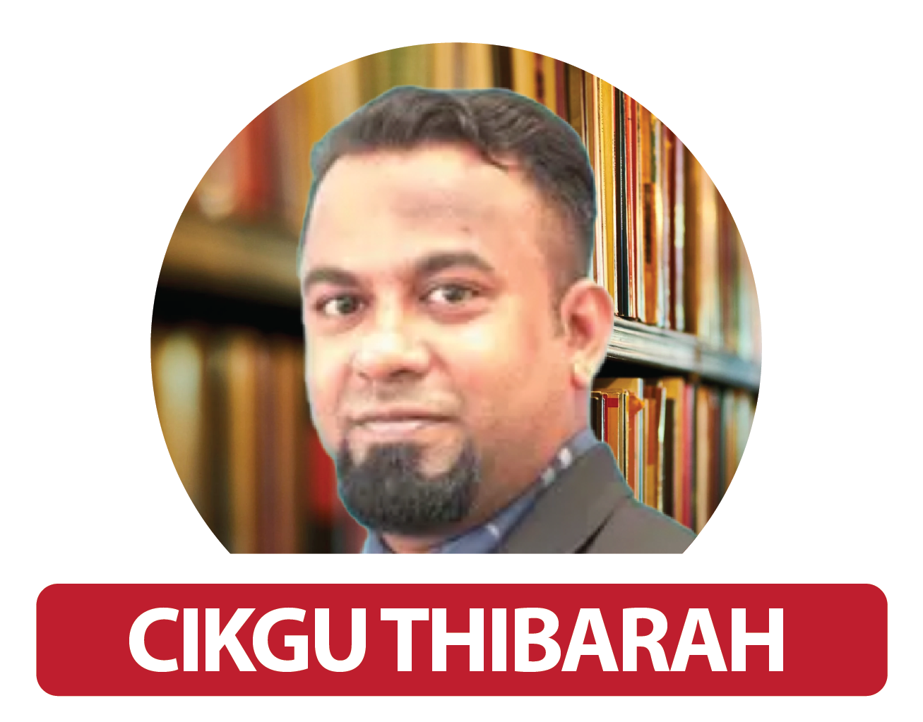 Description of Image